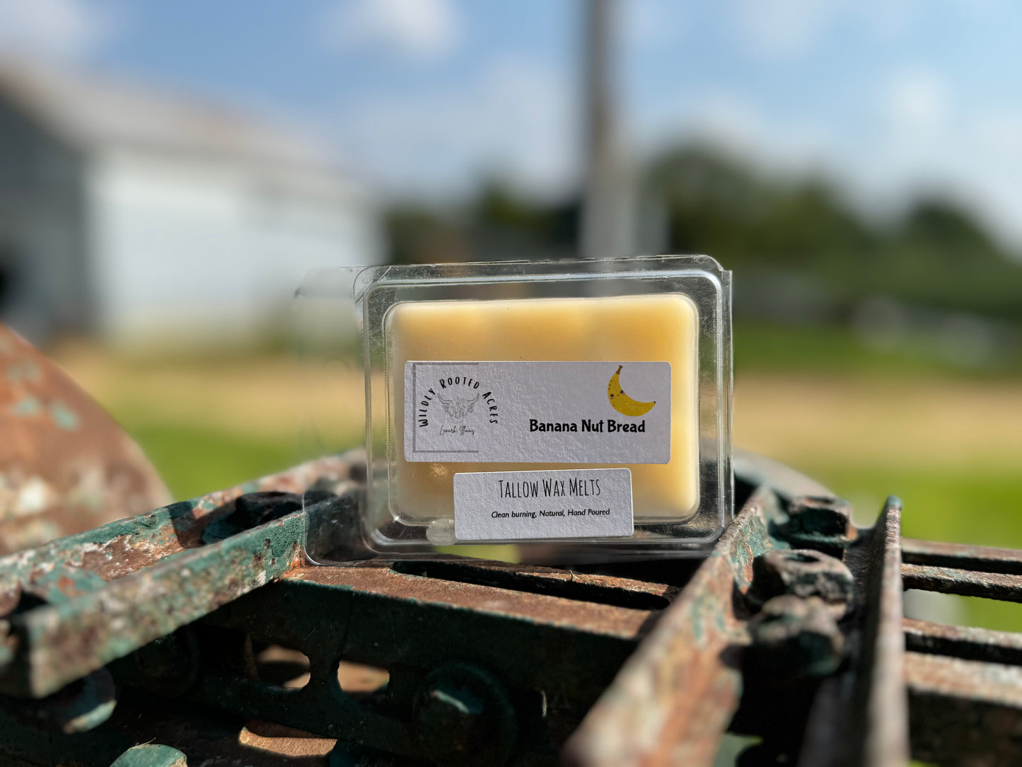 Tallow Wax Melts