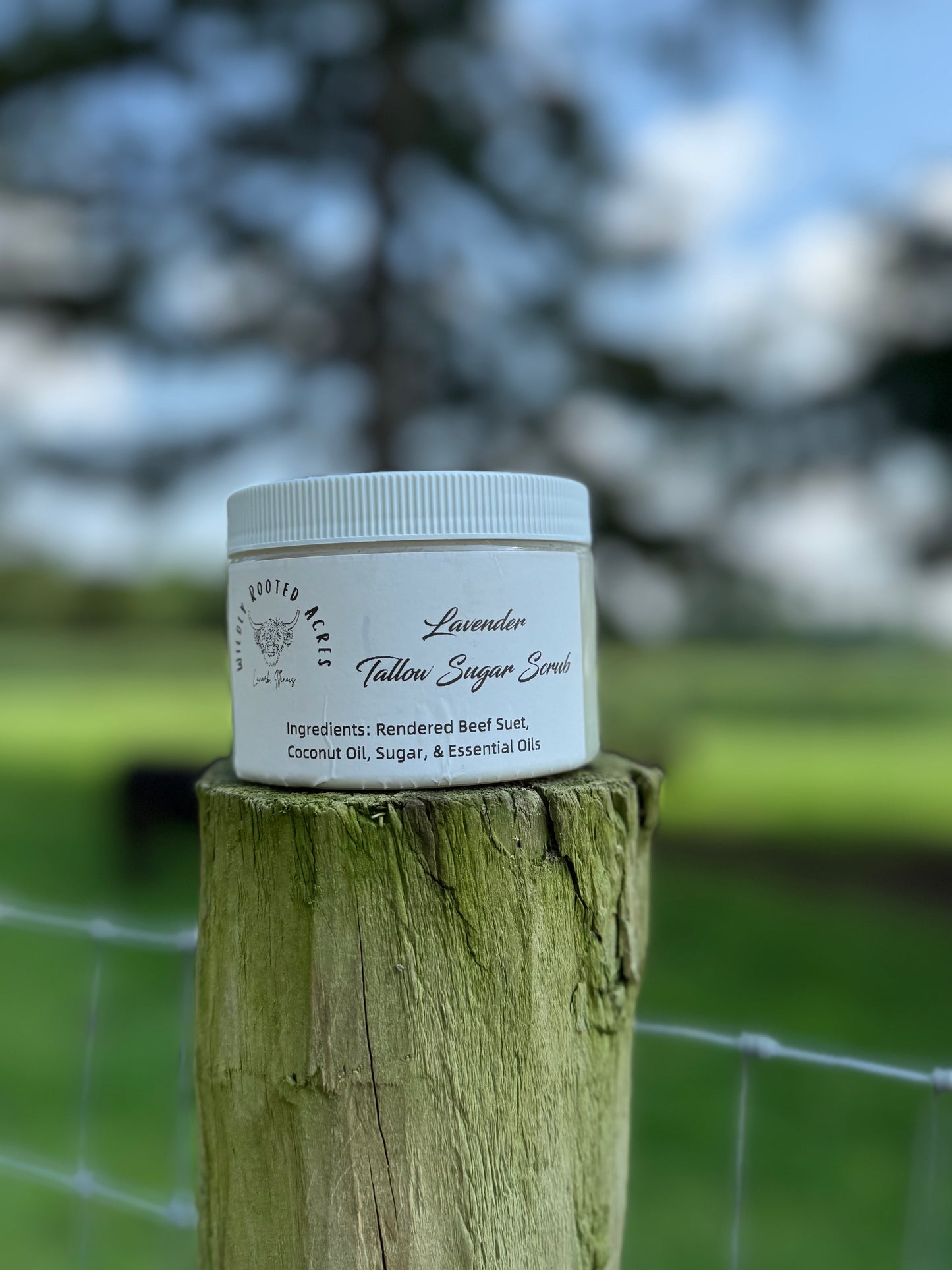 Tallow Sugar Scrubs