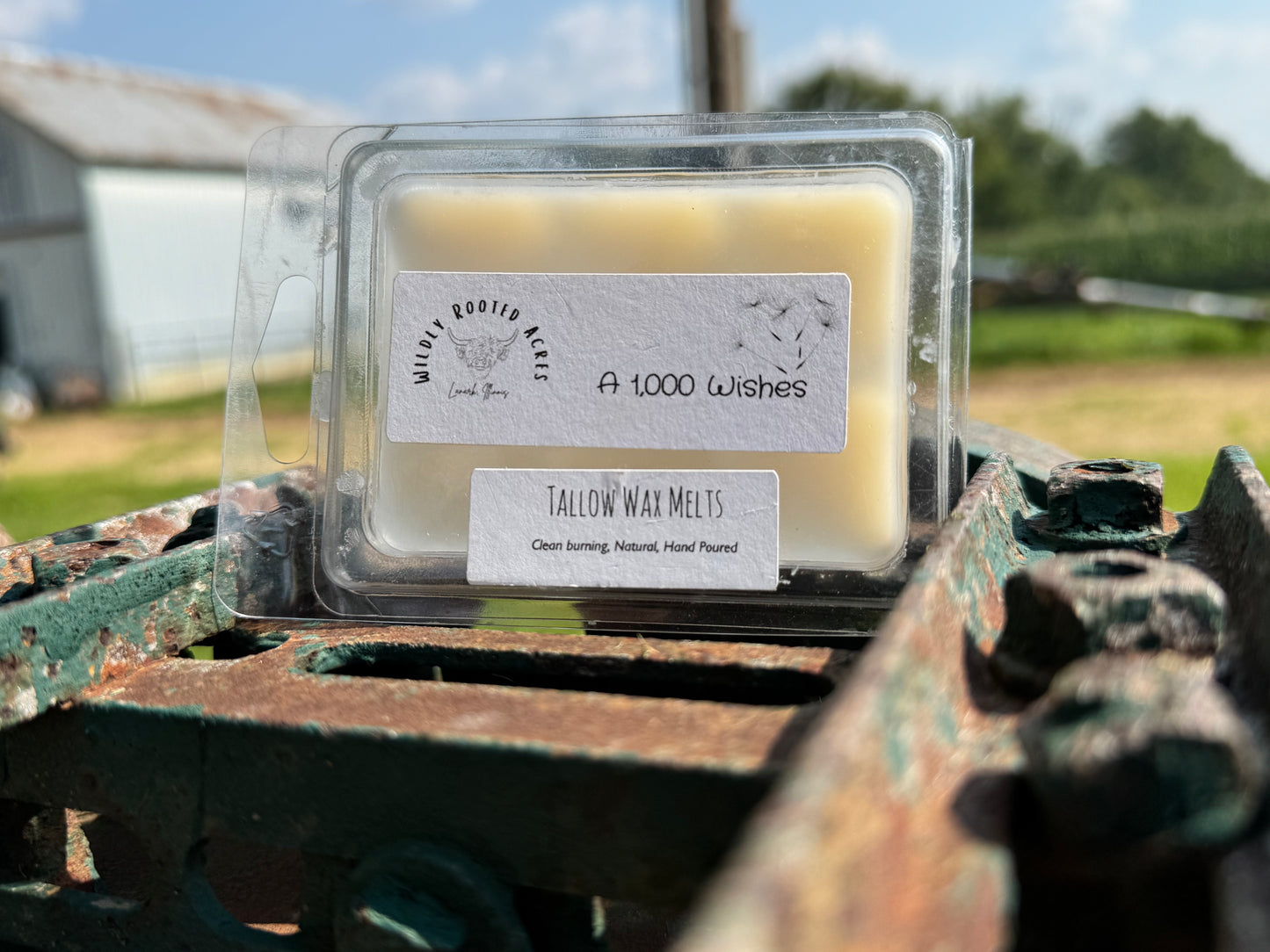 Tallow Wax Melts