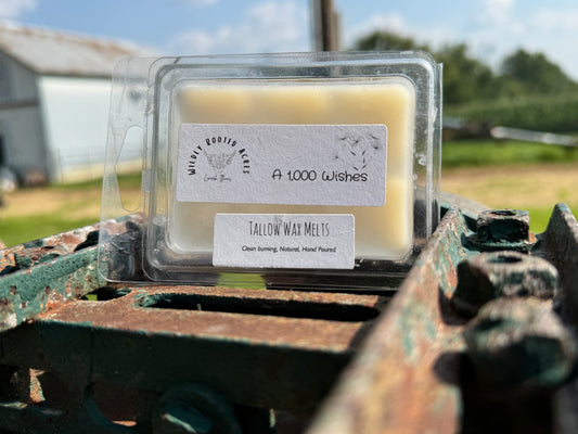 Tallow Wax Melts